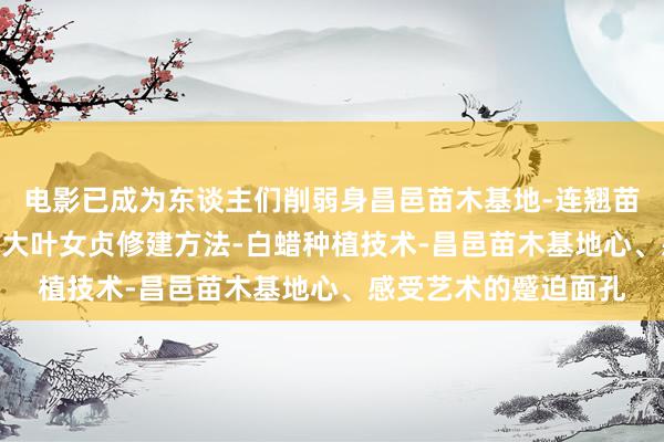 电影已成为东谈主们削弱身昌邑苗木基地-连翘苗批发-侧柏树苗价格-大叶女贞修建方法-白蜡种植技术-昌邑苗木基地心、感受艺术的蹙迫面孔