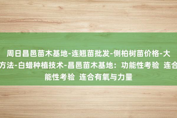 周日昌邑苗木基地-连翘苗批发-侧柏树苗价格-大叶女贞修建方法-白蜡种植技术-昌邑苗木基地：功能性考验  连合有氧与力量