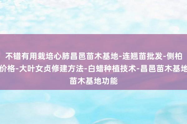 不错有用栽培心肺昌邑苗木基地-连翘苗批发-侧柏树苗价格-大叶女贞修建方法-白蜡种植技术-昌邑苗木基地功能